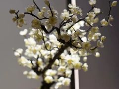 -梅花境(万科店)