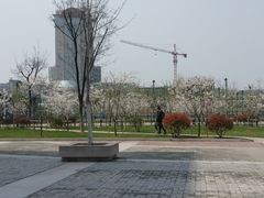 -南京航空航天大学(将军路校区)