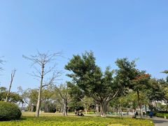 -白鹭洲公园