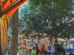 -二荆条·蜀鲜汇城市森林火锅