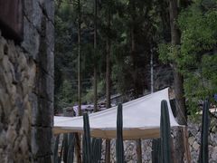 -MOJ coffee(瓯海泽雅水碓坑店)