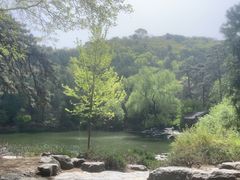 -香山公园