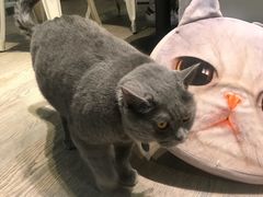 -小时光咖啡馆(开森度假森林店)