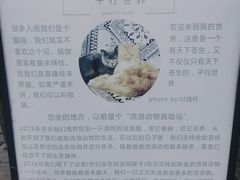 -平行世界·猫咖(首经贸店)