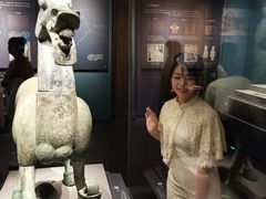 -广西壮族自治区博物馆