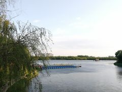 -大兴滨河森林公园