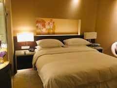 -芽庄喜来登水疗酒店