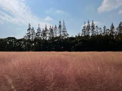 -嘉北郊野公园