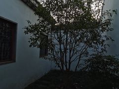 -秋霞圃