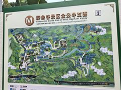 -野象谷景区
