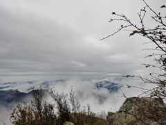 -白草畔自然风景区