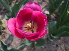 -长春公园(普阳街道)