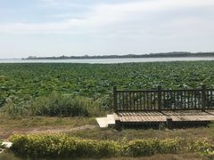 -梁子湖东篱老屋生态庄园