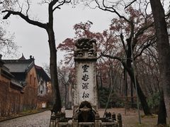 -灵谷景区
