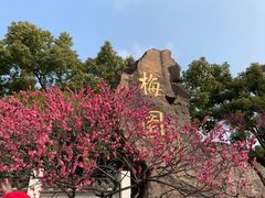 -无锡梅园公园