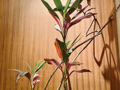 -二酉书店TOYOU BOOKS