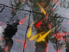 -江阴君山寺