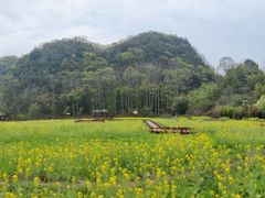 -高荡千年布依古寨旅游景区