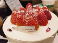 -蜜肆动物奶油蛋糕·个性定制·下午茶甜品
