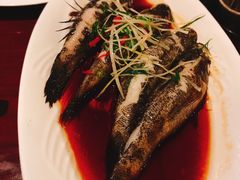 -七仙岭君澜度假酒店·桃源小馆中餐厅