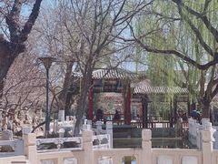 -桃花堤公园