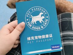 -顺强宠物诊所·狂犬免疫·夜诊·骨科(嘉定店)