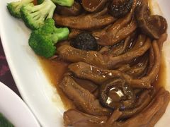 花菇扣鹅掌-海晖酒楼·顺德鱼生(荣华店)