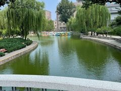 -团结湖公园
