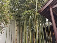 -南京市民俗博物馆(甘熙故居)