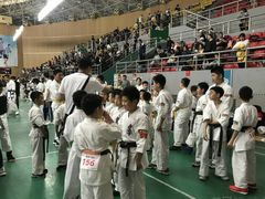 -极真空手道修远道场