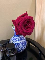 -悦艾堂·中医拔罐减肥·美体艾灸连锁