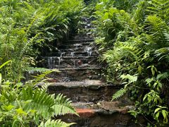 -西岭雪山大飞水景区
