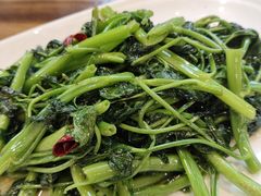 -双流老字号董蹄花(广场路店)