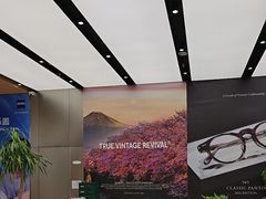 -大视光学•LINDBERG林德伯格•全球手工眼镜集合店(王府井店)