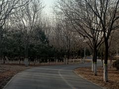 -永定河休闲森林公园