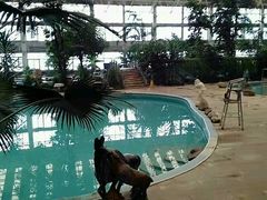 -龙脉温泉室内游泳馆