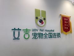 -艾吉宠物医院·疑难杂症转诊中心·猫友好(碧江路院)