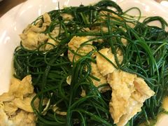 -有家驴肉黄面(敦煌店)