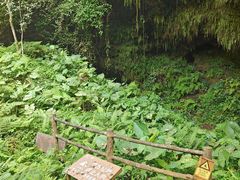 -海口火山口国家地质公园
