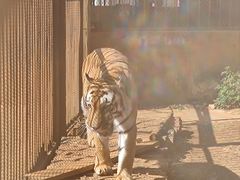 -昆明动物园