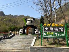 -栾川竹海野生动物园