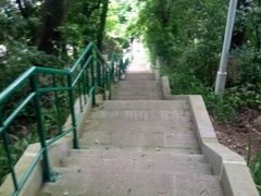 -中山公园(石岐街道)