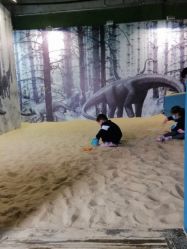 -恐龙探索乐园(磁器口店)