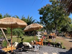 -HERRE·FARM 赫尔露营农场·团建聚会包场