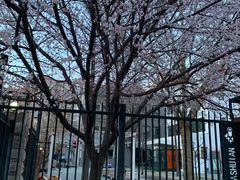 -吉而慧幼儿园-原红黄蓝幼儿园(世华水岸园)