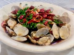 花蛤-老板娘海鲜(平凉路店)