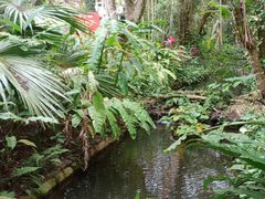 -海南热带野生动植物园