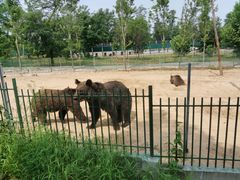 -秦皇岛野生动物园