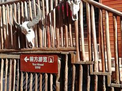 -呀路古热带植物园