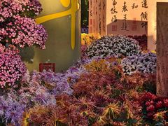 -中国翰园碑林